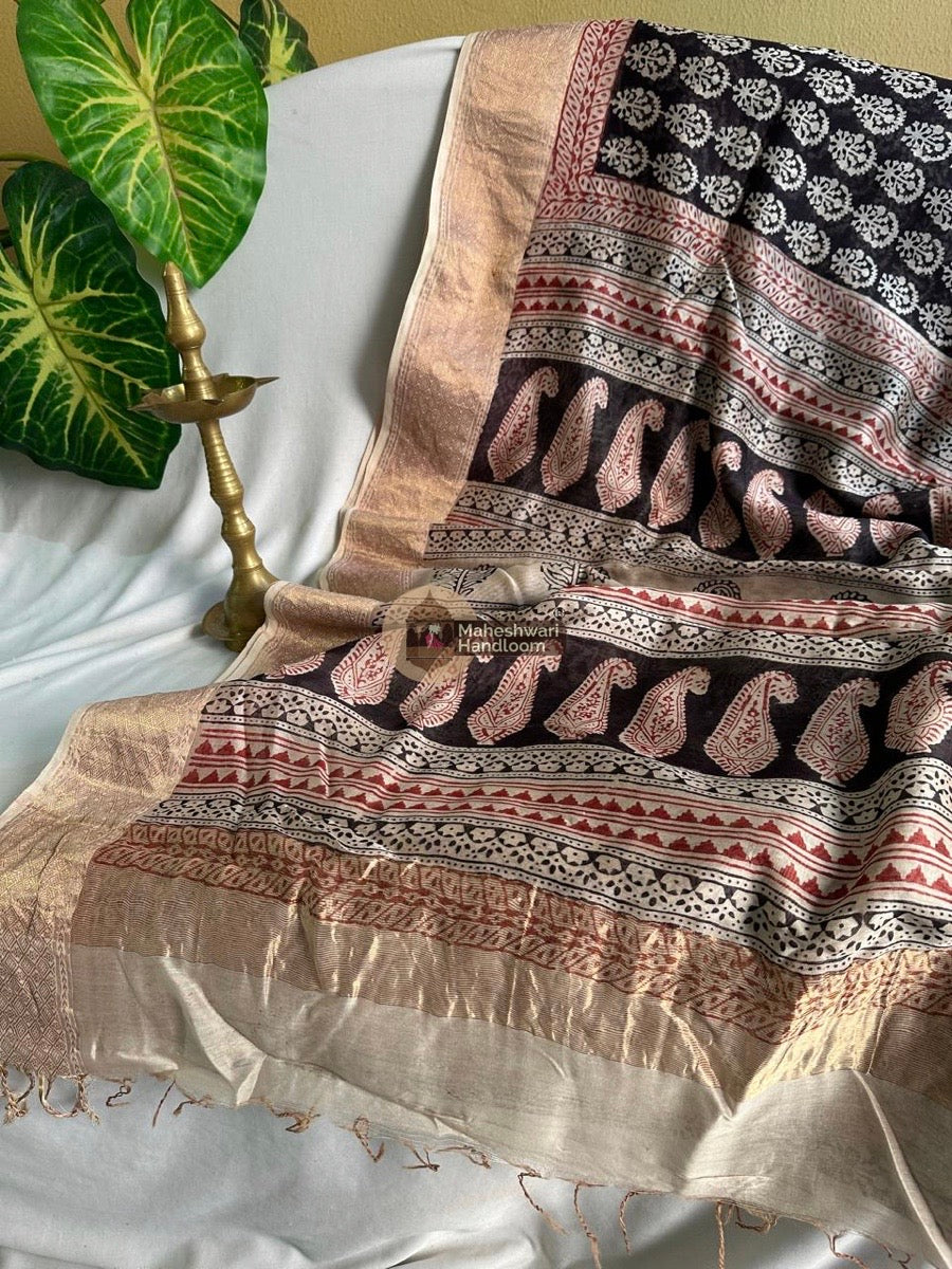 Maheshwari Black Bagh Print Silk Cotton Saree 010